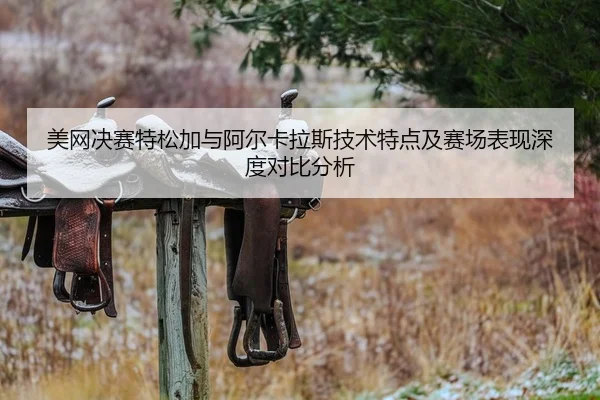美网决赛特松加与阿尔卡拉斯技术特点及赛场表现深度对比分析