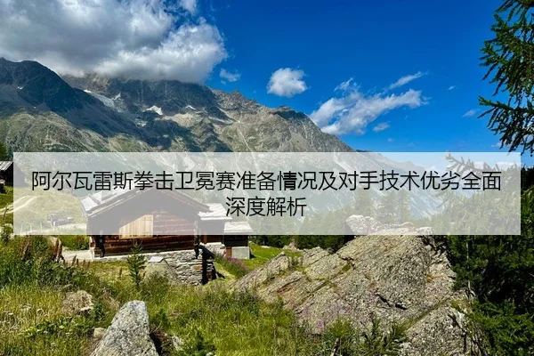 阿尔瓦雷斯拳击卫冕赛准备情况及对手技术优劣全面深度解析
